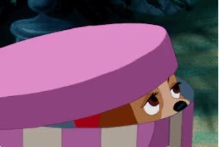 GIF Preview