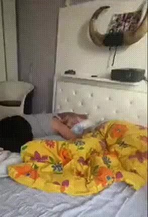 GIF Preview