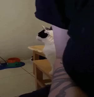 GIF Preview