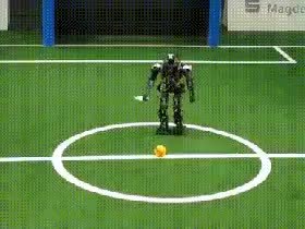 GIF Preview