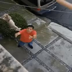 GIF Preview