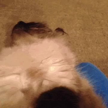 GIF Preview