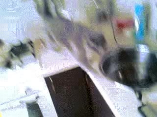 GIF Preview