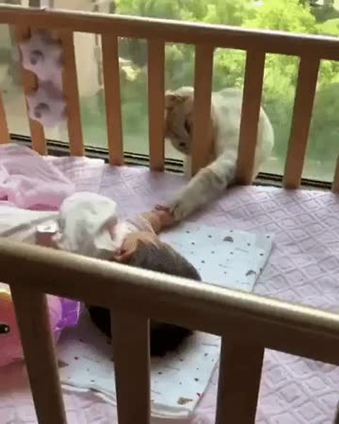 GIF Preview