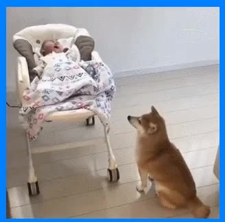 GIF Preview