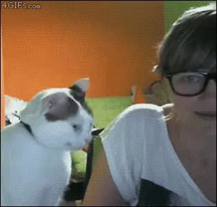 GIF Preview
