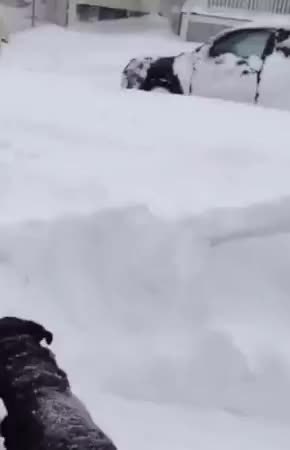 GIF Preview