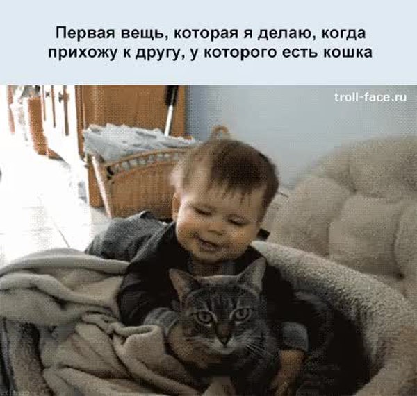 GIF Preview