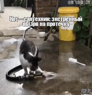 GIF Preview