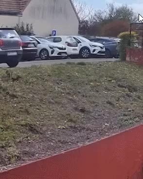 GIF Preview