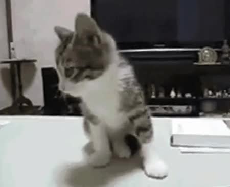 GIF Preview
