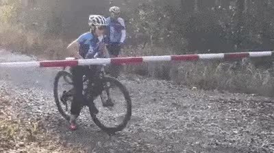 GIF Preview