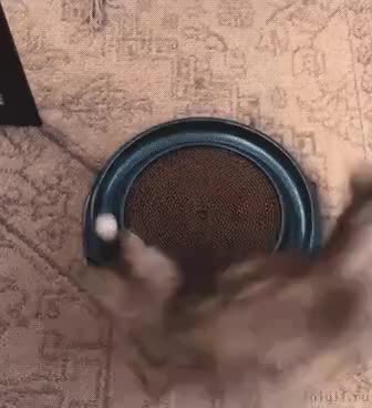GIF Preview