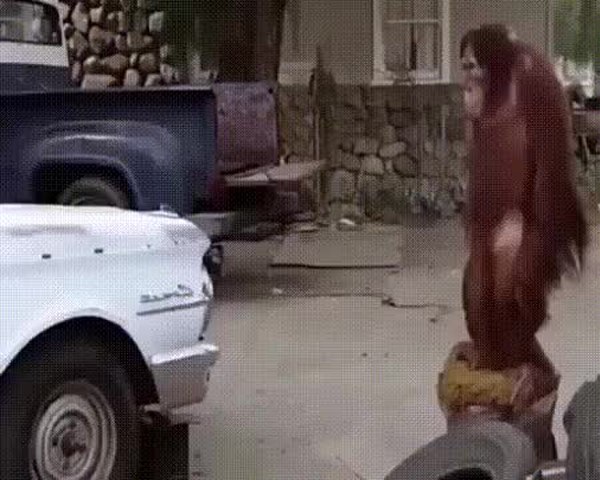 GIF Preview