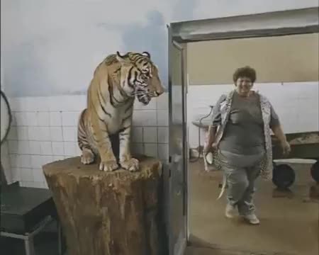 GIF Preview