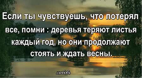 Все потерял. Если ты чувствуешь что потерял все Помни деревья. Если ты потерял. Если чувствуешь, что потерял все. Если ты чувствуешь что потерял все.