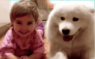 GIF Preview