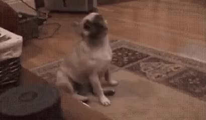GIF Preview