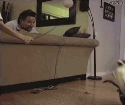 GIF Preview