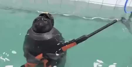 GIF Preview