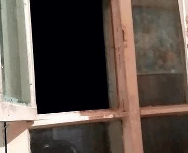 GIF Preview