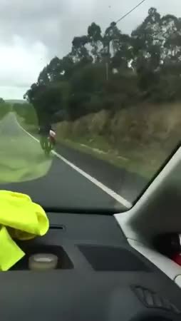 GIF Preview