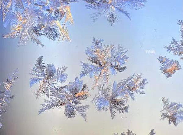 GIF Preview