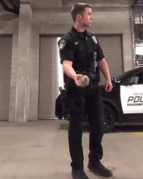 GIF Preview
