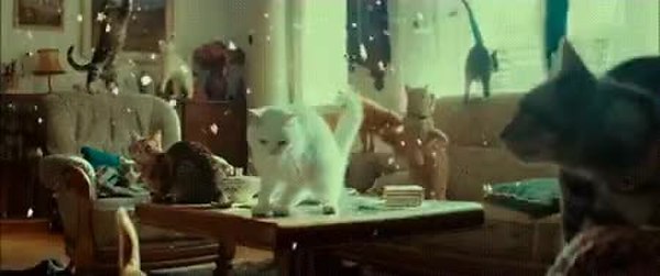 GIF Preview