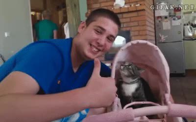 GIF Preview
