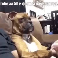 GIF Preview