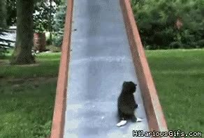 GIF Preview