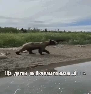 GIF Preview
