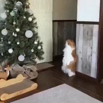 GIF Preview