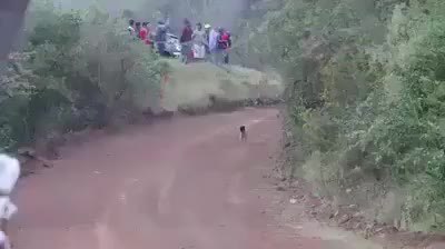 GIF Preview