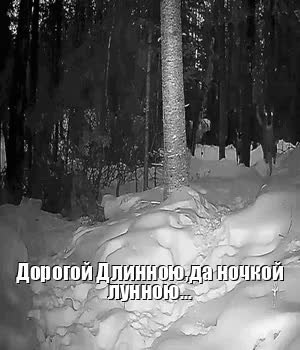 GIF Preview