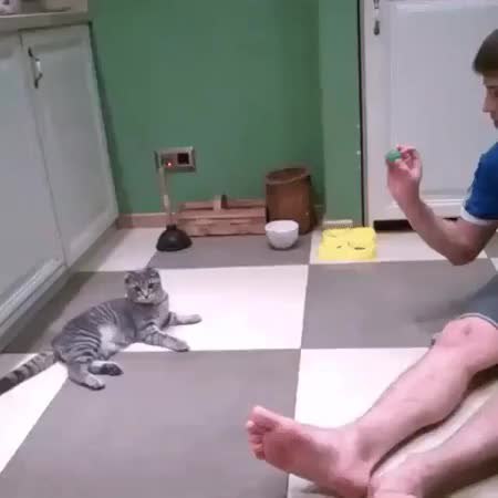 GIF Preview