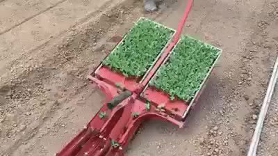 GIF Preview