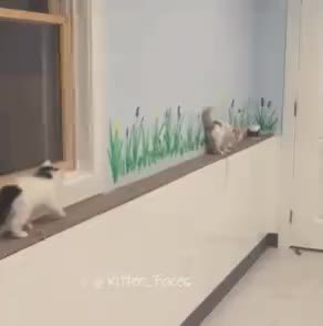 GIF Preview
