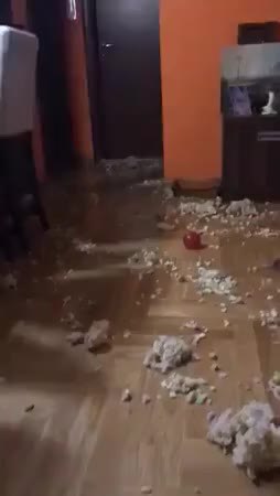 GIF Preview