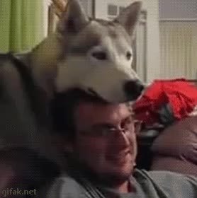GIF Preview