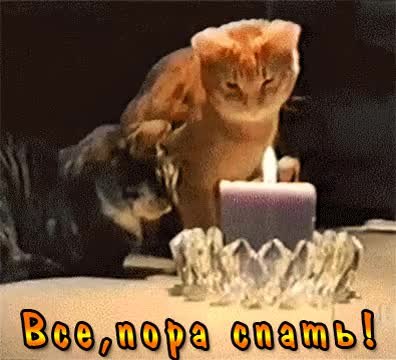 GIF Preview
