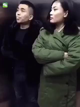 GIF Preview