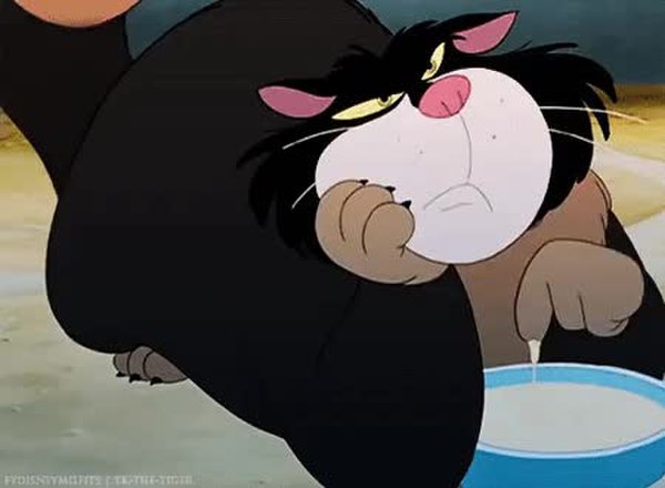 GIF Preview