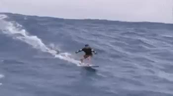 GIF Preview