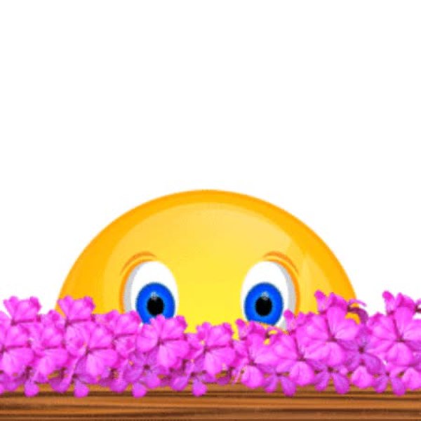 GIF Preview
