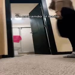 GIF Preview