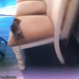 GIF Preview